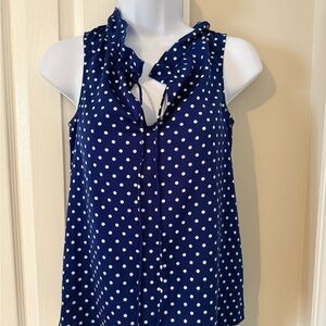 J.Crew Blue and White Polka Dot Blouse